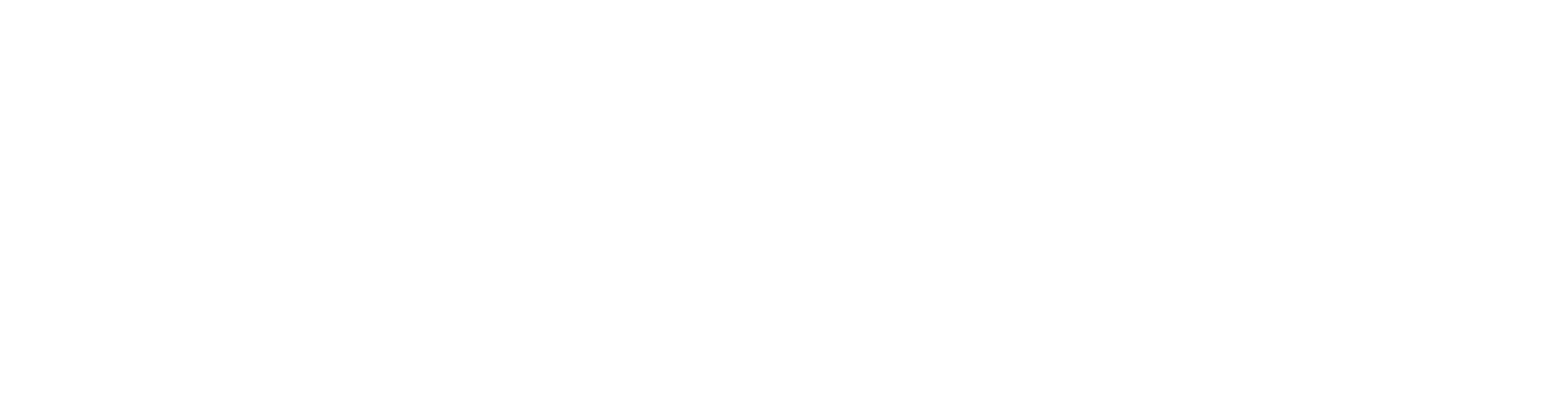 A clean white ROOBiE logo with no visible product, person, text, or environment details.